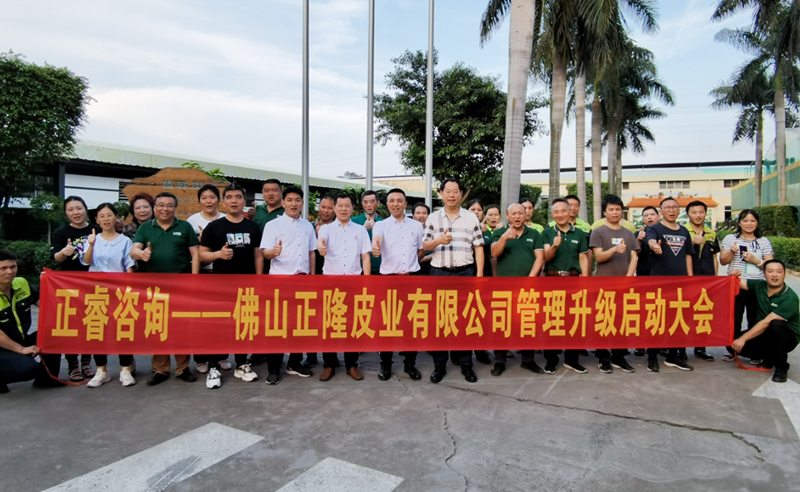 助力皮革行業(yè)再樹標(biāo)桿——正隆皮業(yè)全面管理升級項(xiàng)目啟動！