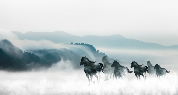 企業(yè)戰(zhàn)略規(guī)劃：為企業(yè)制定全面、長遠的發(fā)展戰(zhàn)略