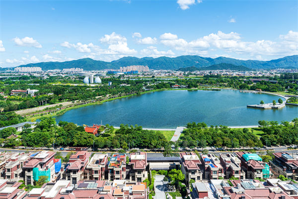 漳州戰(zhàn)略咨詢公司如何為企業(yè)定制長遠發(fā)展藍圖？
