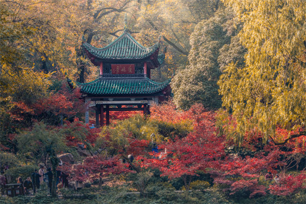 長(zhǎng)沙薪酬咨詢公司如何設(shè)計(jì)合理的薪酬結(jié)構(gòu)與體系？