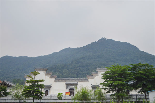佛山組織規(guī)劃咨詢公司如何優(yōu)化企業(yè)人才梯隊建設(shè)？