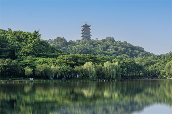 如何評(píng)估佛山集團(tuán)管控咨詢公司的服務(wù)質(zhì)量和效果？