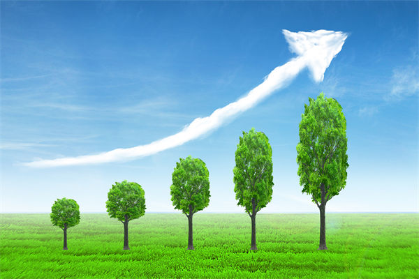 植樹就是植未來，對企業(yè)的戰(zhàn)略規(guī)劃有哪些啟示？