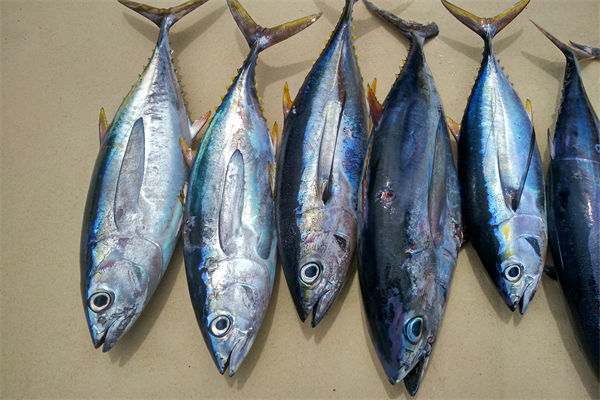 商務(wù)部：將幫助外貿(mào)企業(yè)擴(kuò)寬內(nèi)銷渠道，政策解讀！