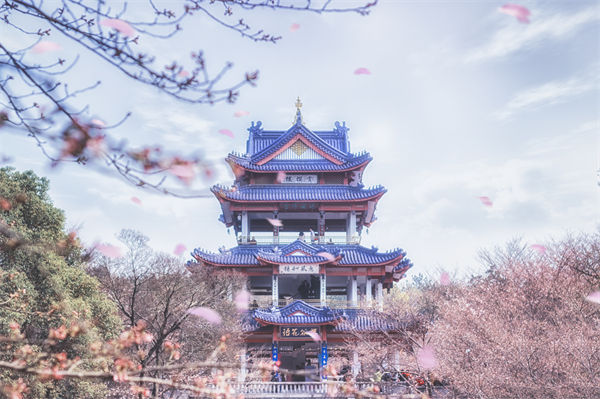 供應(yīng)鏈成本居高不下，無(wú)錫供應(yīng)鏈咨詢公司如何精準(zhǔn)砍出利潤(rùn)空間？