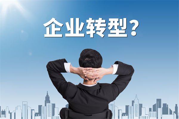 企業(yè)轉(zhuǎn)型無方向，數(shù)智化咨詢公司能否指引明路？